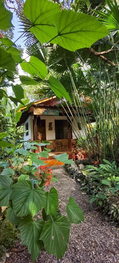 Cabinas Tito Cahuita Eksteriør billede