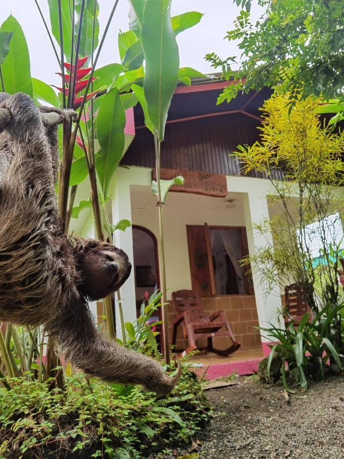 Cabinas Tito Cahuita Eksteriør billede