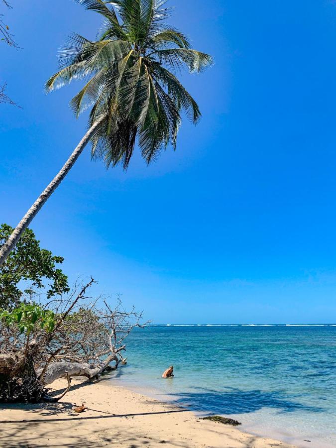 Cabinas Tito Cahuita Eksteriør billede