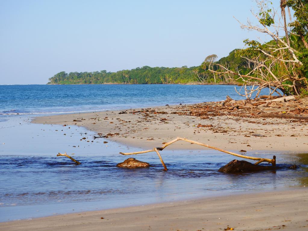 Cabinas Tito Cahuita Eksteriør billede