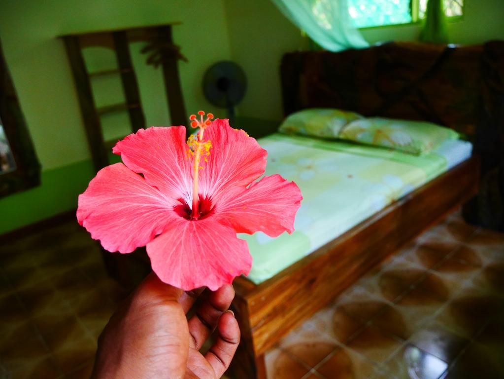 Cabinas Tito Cahuita Eksteriør billede