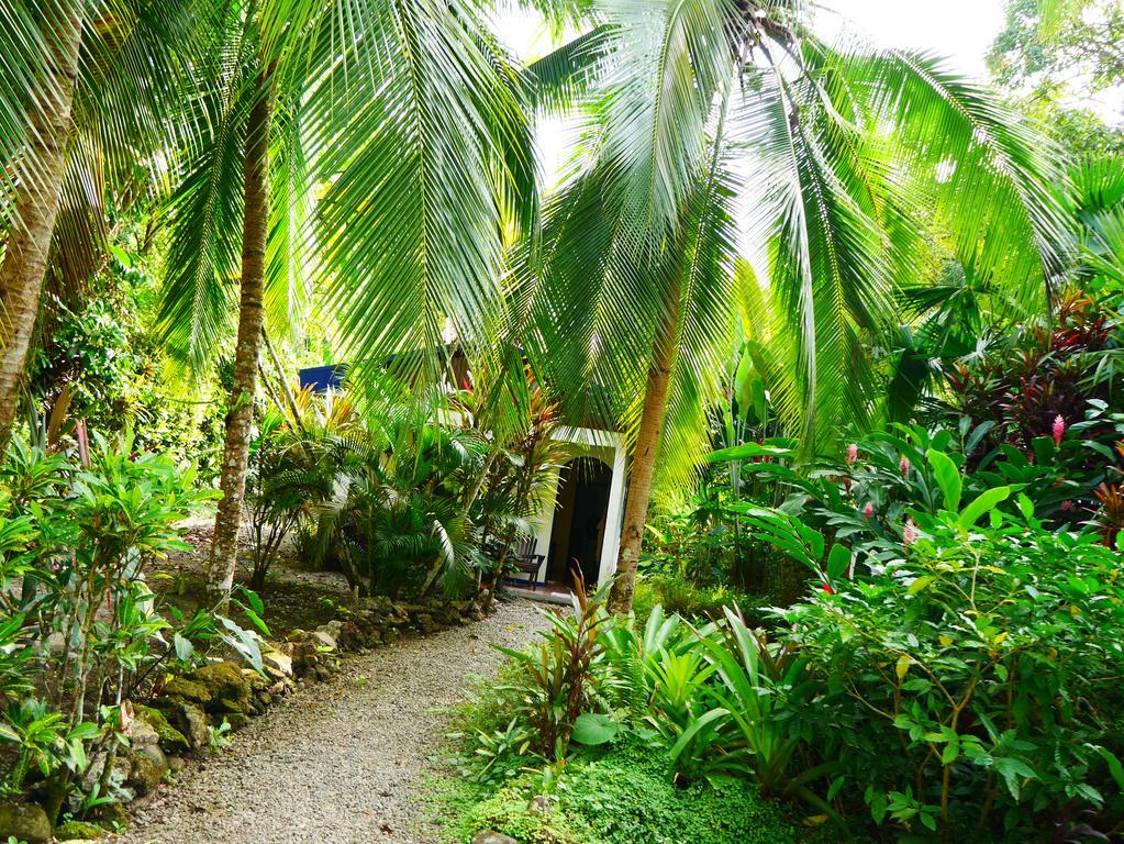 Cabinas Tito Cahuita Værelse billede