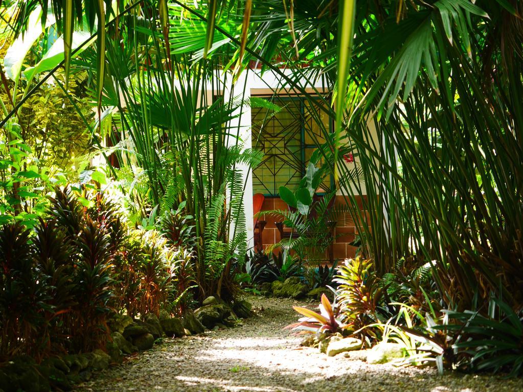Cabinas Tito Cahuita Eksteriør billede